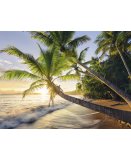 PUZZLE PLAGE PARADISIAQUE AU LEVE DU SOLEIL - 1500 PIECES COLLECTION PAYSAGE - RAVENSBURGER - 150151