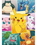 PUZZLE POKEMON PIKACHU DRACAUFEU BULBIZARRE MEW LEVIATOR RONFLEX RONDOUDOU - 250 PIECES - NATHAN 868827