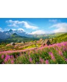 PUZZLE POLOGNE : GASIENICOWA VALLEE DANS LES MONTAGNES TATRAS 1000 PIECES - COLLECTION PAYSAGE ASIE ET MONTAGNE - CASTORLAND