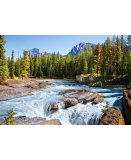 PUZZLE RIVIERE ATHABASCA DANS LE PARC NATIONAL JASPER - 1500 PIECES COLLECTION CANADA - CASTORLAND