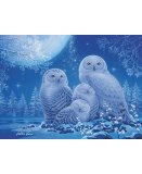 PUZZLE STAR LINE : CHOUETTES AU CLAIR 500 PIECES - COLLECTION NEON - RAVENSBURGER - 165957