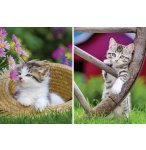 2 PUZZLES LES CHATONS A LA CAMPAGNE 500 PIECES - CHAT - COLLECTION ANIMAL - RAVENSBURGER - 172696