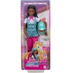 COFFRET BARBIE CAVALIERE POUPEE BARBIE + ACCESSOIRES - COLLECTION CENTRE EQUESTRE - POUPEE MANNEQUIN - MATTEL - HXJ39
