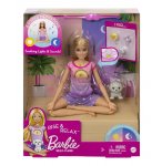 COFFRET BIEN ETRE BARBIE MEDITATION - RISE & RELAX - MATTEL - HCN08 - POUPEE, CHIOT & ACCESSOIRES