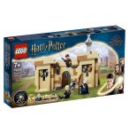 LEGO HARRY POTTER 76395 POUDLARD : LA PREMIERE LECON DE VOL