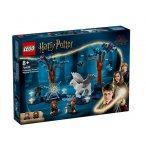 LEGO HARRY POTTER 76432 LA FORET INTERDITE : LES CREATURES MAGIQUES