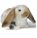 PELUCHE LAPIN MARRON AUX OREILLES TOMBANTES 27 CM - CLASSIC ANIMAUX DE LA FERME - LIVING NATURE 