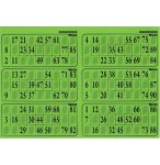 PLAQUE DE 6 GRILLES DE LOTO RIGIDE 1MM VERT MENTHE - CARTONS LOTO - LOTOQUINE