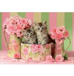 PUZZLE 2 CHATONS DANS UNE BOITE ET DES BOUQUETS DE ROSES 500 PIECES - COLLECTION ANIMAUX - EDUCA - 17960