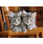 PUZZLE 2 MIGNONS CHATONS GRIS 500 PIECES - COLLECTION ANIMAUX - CLEMENTONI - 30545