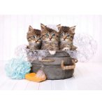 PUZZLE 3 CHATONS DANS UNE BASSINE 500 PIECES - COLLECTION ANIMAUX - CLEMENTONI - 35065