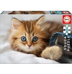 PUZZLE ANIMAUX : CHATON 200 PIECES - EDUCA - 17154