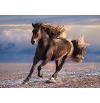 PUZZLE CHEVAL NOIR EN LIBERTE 1000 PIECES - COLLECTION ANIMAUX SAUVAGES - CLEMENTONI - 39420