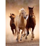 PUZZLE CHEVAUX QUI COURENT EN LIBERTE 1000 PIECES - COLLECTION ANIMAUX SAUVAGES - CLEMENTONI - 39168