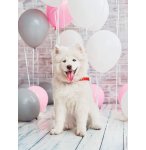 PUZZLE CHIEN SAMOYEDE 500 PIECES - COLLECTION TENDRESSE ANIMAUX - NATHAN - 872428
