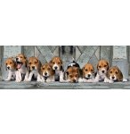 PUZZLE CHIENS : BEAGLES 1000 PIECES - COLLECTION PANORAMA ANIMAUX - CLEMENTONI - 39435