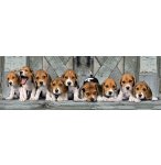 PUZZLE CHIENS : BEAGLES 1000 PIECES - COLLECTION PANORAMA ANIMAUX - CLEMENTONI - 39435
