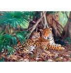 PUZZLE FAMILLE DE JAGUAR DANS LA JUNGLE  3000 PIECES - COLLECTION ANIMAUX SAUVAGES - FELIN