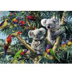 PUZZLE FAMILLE DE KOALAS ET PERROQUETS DANS L'ARBRE 500 PIECES - COLLECTION ANIMAUX - RAVENSBURGER - 14826