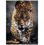 PUZZLE LA MARCHE DU JAGUAR 1000 PIECES - COLLECTION ANIMAUX SAUVAGES - CLEMENTONI - 39326