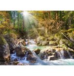 PUZZLE LE TORRENT  DANS LA FORET 2000 PIECES - COLLECTION PAYSAGE