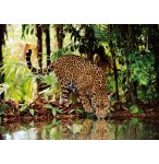 PUZZLE LEOPARD DANS LA JUNGLE 2000 PIECES - COLLECTION ANIMAUX SAUVAGE - CLEMENTONI - 32537