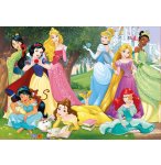 PUZZLE LES PRINCESSES DANS LE PARC DU CHATEAU FEERIQUE 500 PIECES - COLLECTION DISNEY - EDUCA - 17723