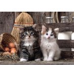 PUZZLE MIGNONS CHATONS 1000 PIECES - COLLECTION ANIMAUX DOMESTIQUES - CLEMENTONI - 39340