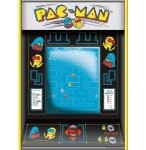 PUZZLE PAC-MAN - 500 PIECES - COLLECTION JEUX VIDEO - RAVENSBURGER - 169313