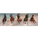 PUZZLE PANORAMA CHEVAUX BRUN ET NOIR QUI COURENT 1000 PIECES - COLLECTION ANIMAUX - CLEMENTONI - 39875