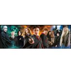 PUZZLE PANORAMA HARRY POTTER 1000 PIECES - COLLECTION FILM FANTASTIQUE - CLEMENTONI - 39873