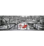 PUZZLE PANORAMA NOIR ET BLANC AMSTERDAM ET LE VELO 1000 PIECES - COLLECTION PAYSAGE PAYS-BAS - CLEMENTONI - 39440