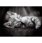 PUZZLE PETIT CHAT GRIS COUCHE 1000 PIECES - COLLECTION ANIMAUX - CLEMENTONI - 39422