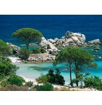 PUZZLE PLAGE DE PALOMBAGGIA 1000 PIECES - COLLECTION EVASION - CORSE - NATHAN 