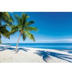 PUZZLE PLAGE PARADISIAQUE 1000 PIECES - COLLECTION MER ET VACANCES - RAVENSBURGER - 159895