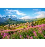 PUZZLE POLOGNE : GASIENICOWA VALLEE DANS LES MONTAGNES TATRAS 1000 PIECES - COLLECTION PAYSAGE ASIE ET MONTAGNE - CASTORLAND