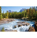 PUZZLE RIVIERE ATHABASCA DANS LE PARC NATIONAL JASPER - 1500 PIECES COLLECTION CANADA - CASTORLAND