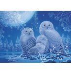 PUZZLE STAR LINE : CHOUETTES AU CLAIR 500 PIECES - COLLECTION NEON - RAVENSBURGER - 165957