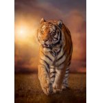 PUZZLE TIGRE DANS LA SAVANE 1500 PIECES - COLLECTION ANIMAUX SAUVAGES - CLEMENTONI 31806