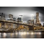 PUZZLE VUE SUR LA VILLE DE NEW-YORK LA NUIT 1000 PIECES - COLLECTION MONUMENT ETAT-UNIS - CLEMENTONI - 39704