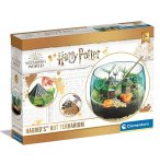 TERRARIUM HARRY POTTER : LA CABANE DE HAGRID - ECOSTYSTEME - CLEMENTONI - 19248