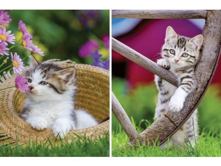 2 PUZZLES LES CHATONS A LA CAMPAGNE 500 PIECES - CHAT - COLLECTION ANIMAL - RAVENSBURGER - 172696
