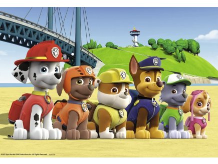 2 puzzles pat patrouille : ryder joue avec marcus chase zuma et rocky 24 pieces - Ravensburger - 090648