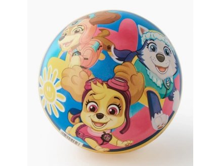 BALLON EN PLASTIQUE PAT PATROUILLE 23 CM - BALLE PVC PAW PATROL - JOHN - JEU PLEIN AIR, SPORT
