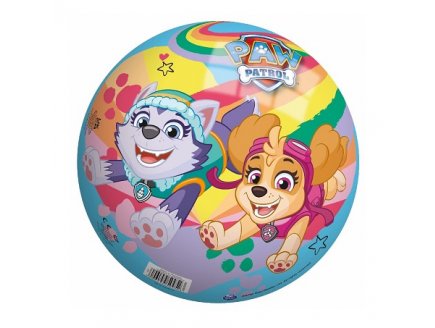 Ballon en plastique pat patrouille 23 cm paw patrol - John - jeu plein air