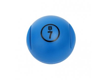 BOULE DE LOTO MAGNETIQUE NUMEROTEE BLEU + 100 PIONS - KIT 2 EN 1 - LOTOQUINE