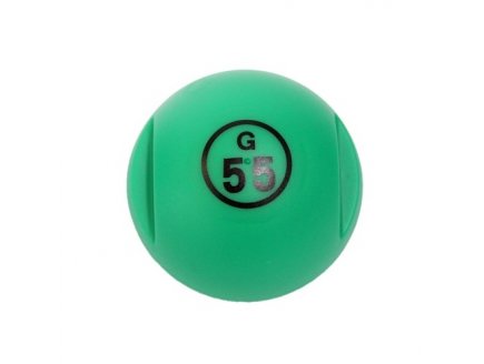 BOULE DE LOTO MAGNETIQUE NUMEROTEE VERT + 100 PIONS - KIT 2 EN 1 - LOTOQUINE