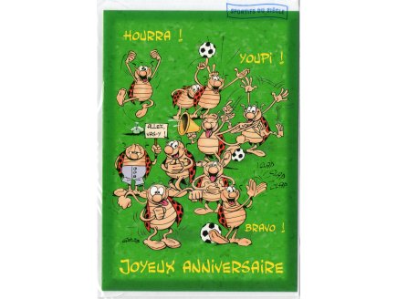 CARTE JOYEUX ANNIVERSAIRE ANIMAL RIGOLO FOOT + ENVELOPPE - CARTERIE - FOOTBALL SPORTIF - ENFANT - ADULTE - FILLE - GARCON (32)
