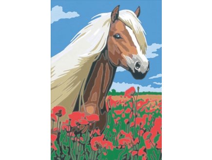 Coffret numero d'art 3 tableaux animaux : chatons, chien & chat, cheval - Ravensburger - 28508 - peinture