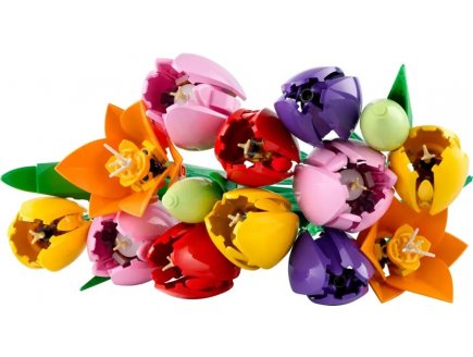 Lego Botanicals 11501 Le bouquet de tulipes
